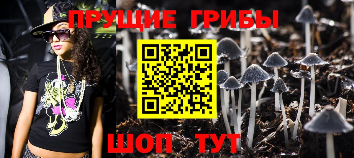 Галлюциногенные грибы MAGIC MUSHROOMS  Псилоцибиновые грибы Psilocybine cubensis  Зеленокумск  Вход с VPN 
