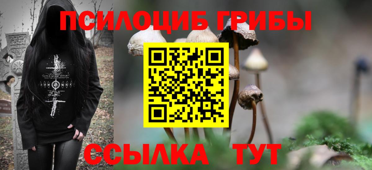Псилоцибиновые грибы MAGIC MUSHROOMS Зеленокумск